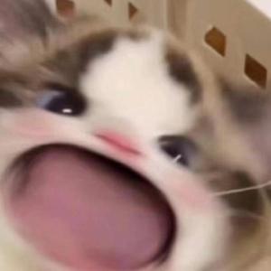 亚州一级av无码毛片久久精品
